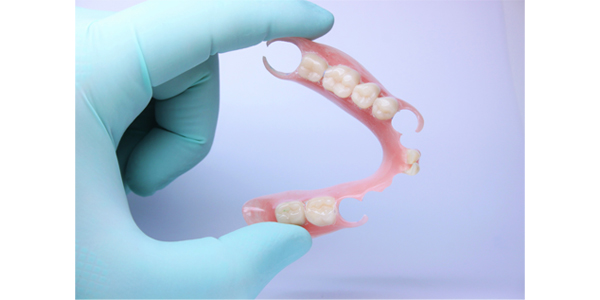 Flexite Lion Dental
